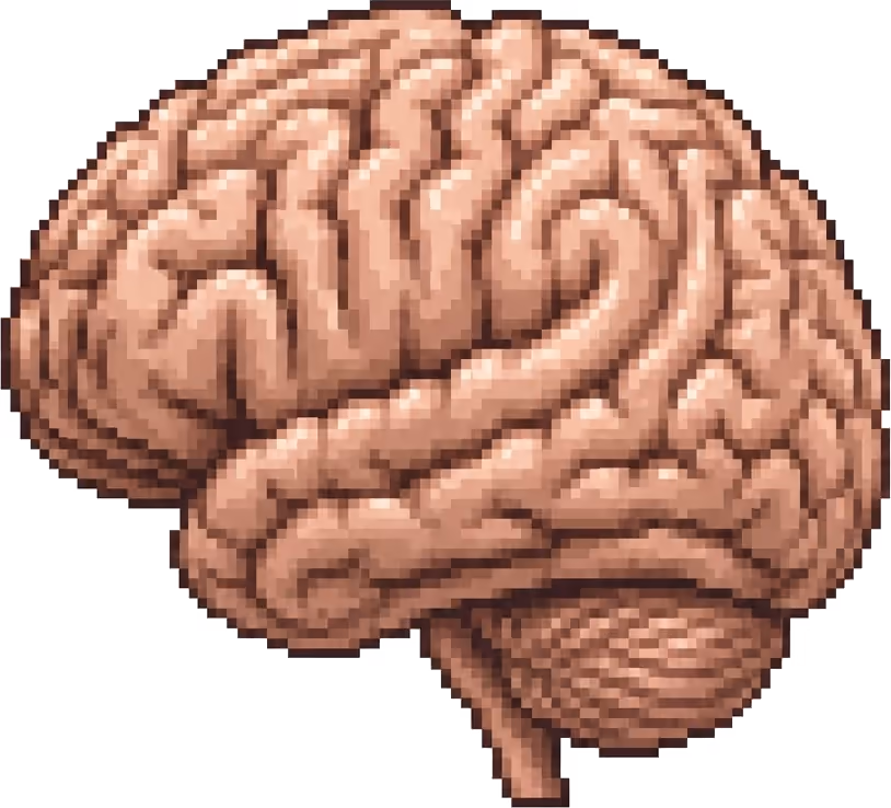 Your brand brain